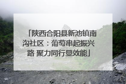 陕西合阳县新池镇南沟社区：葡萄串起振兴路 聚力同行显效能
