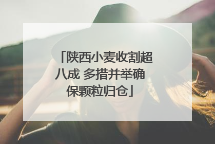 陕西小麦收割超八成 多措并举确保颗粒归仓