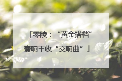 零陵：“黄金搭档”奏响丰收“交响曲”