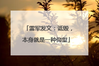 雷军发文：诋毁，本身就是一种仰望