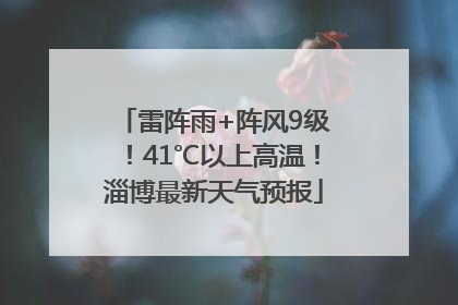 雷阵雨+阵风9级！41℃以上高温！淄博最新天气预报