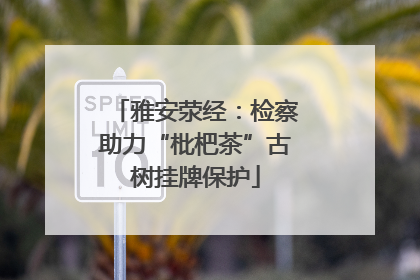 雅安荥经：检察助力“枇杷茶”古树挂牌保护