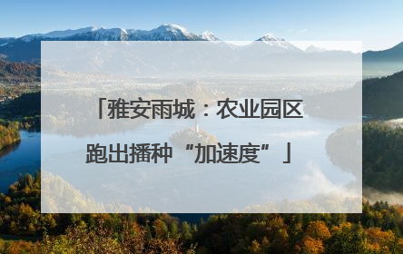雅安雨城：农业园区跑出播种“加速度”