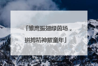 雏鹰振翅绿茵场，拼搏精神耀童年
