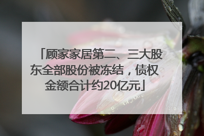 顾家家居第二、三大股东全部股份被冻结，债权金额合计约20亿元