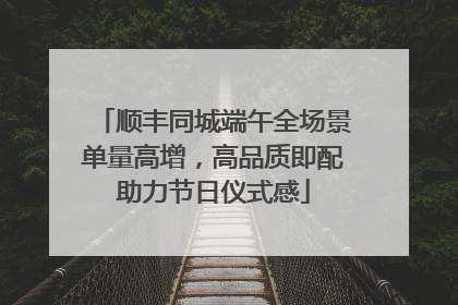 顺丰同城端午全场景单量高增，高品质即配助力节日仪式感
