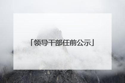 领导干部任前公示