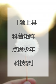 颍上县科普矩阵点燃少年科技梦