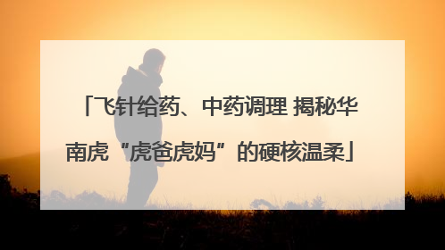 飞针给药、中药调理 揭秘华南虎“虎爸虎妈”的硬核温柔