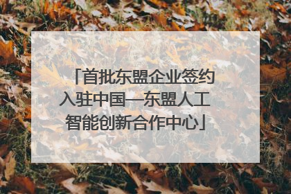 首批东盟企业签约入驻中国—东盟人工智能创新合作中心