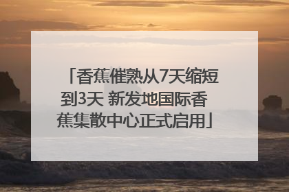 香蕉催熟从7天缩短到3天 新发地国际香蕉集散中心正式启用