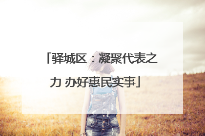 驿城区：凝聚代表之力 办好惠民实事