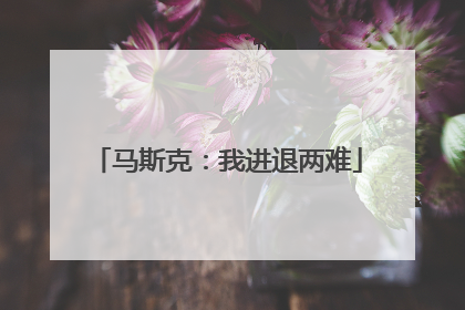 马斯克：我进退两难