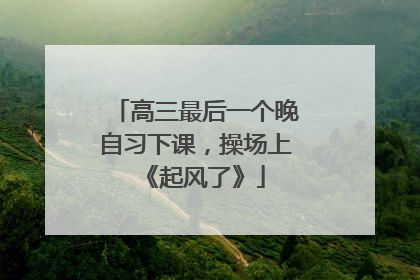 高三最后一个晚自习下课，操场上《起风了》