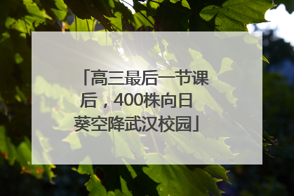 高三最后一节课后，400株向日葵空降武汉校园