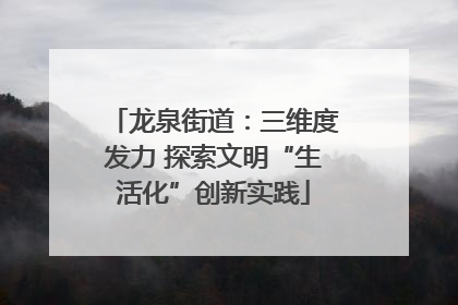 龙泉街道：三维度发力 探索文明“生活化”创新实践