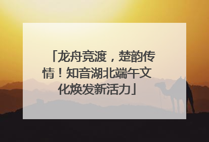龙舟竞渡，楚韵传情！知音湖北端午文化焕发新活力