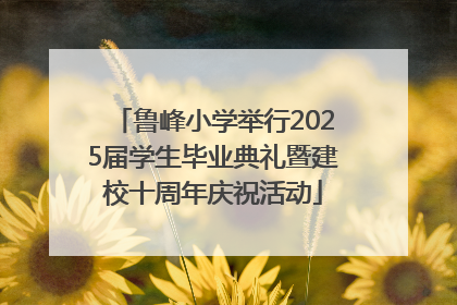 鲁峰小学举行2025届学生毕业典礼暨建校十周年庆祝活动
