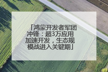 鸿蒙开发者军团冲锋：超3万应用加速开发，生态规模战进入关键期