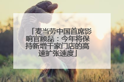 麦当劳中国首席影响官顾磊：今年将保持新增千家门店的高速扩张速度