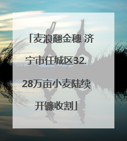 麦浪翻金穗 济宁市任城区32.28万亩小麦陆续开镰收割