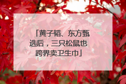 黄子韬、东方甄选后，三只松鼠也跨界卖卫生巾