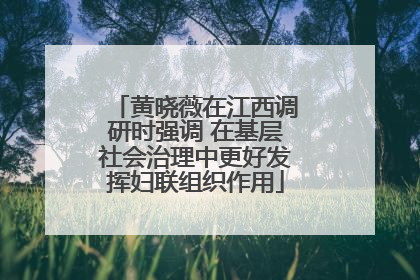 黄晓薇在江西调研时强调 在基层社会治理中更好发挥妇联组织作用