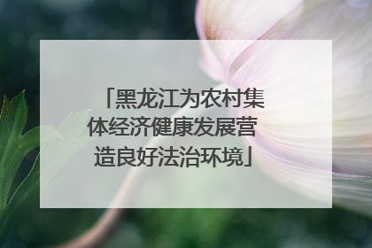 黑龙江为农村集体经济健康发展营造良好法治环境