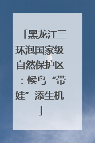 黑龙江三环泡国家级自然保护区：候鸟“带娃”添生机