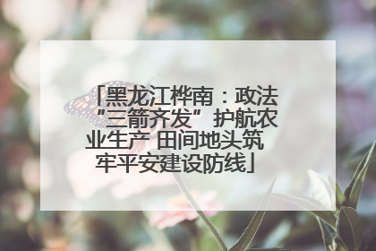 黑龙江桦南：政法“三箭齐发”护航农业生产 田间地头筑牢平安建设防线