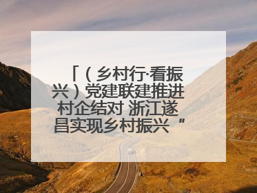 （乡村行·看振兴）党建联建推进村企结对 浙江遂昌实现乡村振兴“加速度”