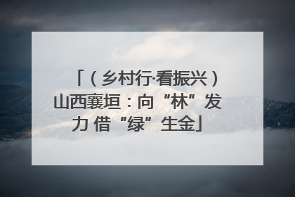 （乡村行·看振兴）山西襄垣：向“林”发力 借“绿”生金