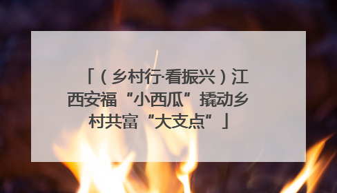 （乡村行·看振兴）江西安福“小西瓜”撬动乡村共富“大支点”