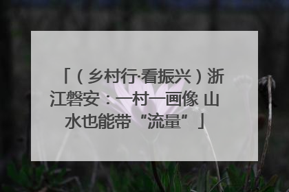 （乡村行·看振兴）浙江磐安：一村一画像 山水也能带“流量”