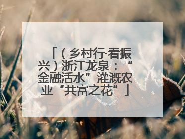 （乡村行·看振兴）浙江龙泉：“金融活水”灌溉农业“共富之花”