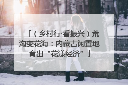 （乡村行·看振兴）荒沟变花海：内蒙古闲置地育出“花漾经济”