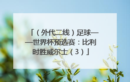 （外代二线）足球——世界杯预选赛：比利时胜威尔士（3）