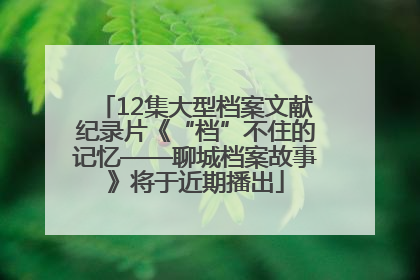 12集大型档案文献纪录片《“档”不住的记忆——聊城档案故事》将于近期播出