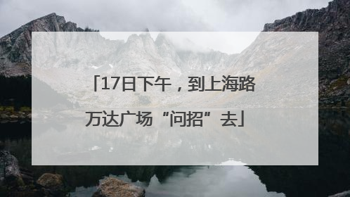 17日下午，到上海路万达广场“问招”去
