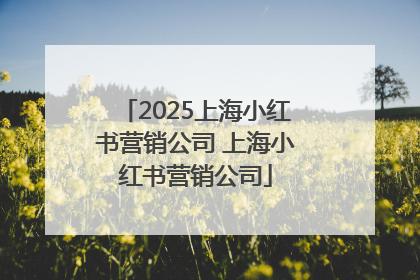 2025上海小红书营销公司 上海小红书营销公司