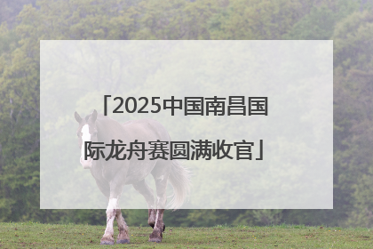 2025中国南昌国际龙舟赛圆满收官