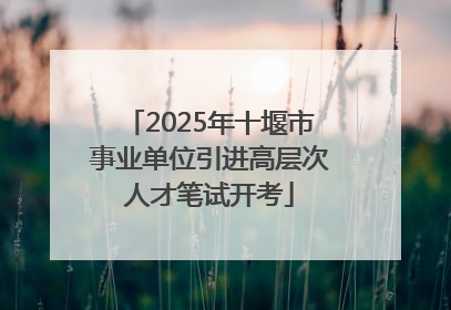 2025年十堰市事业单位引进高层次人才笔试开考