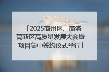 2025商州区、商洛高新区高质量发展大会暨项目集中签约仪式举行