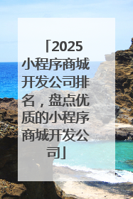 2025小程序商城开发公司排名，盘点优质的小程序商城开发公司