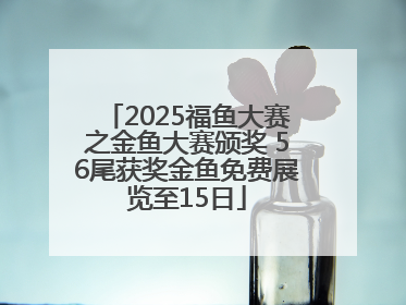 2025福鱼大赛之金鱼大赛颁奖 56尾获奖金鱼免费展览至15日