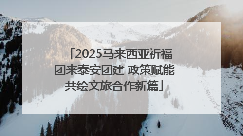 2025马来西亚祈福团来泰安团建 政策赋能共绘文旅合作新篇