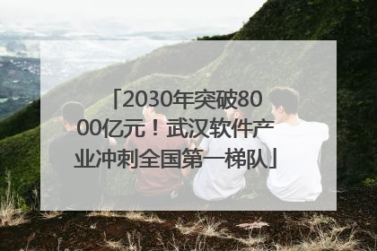 2030年突破8000亿元！武汉软件产业冲刺全国第一梯队
