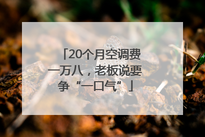 20个月空调费一万八，老板说要争“一口气”