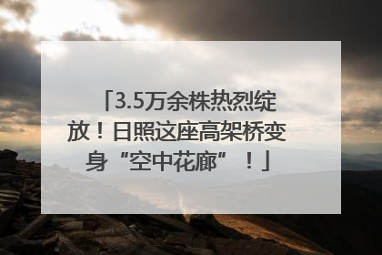 3.5万余株热烈绽放！日照这座高架桥变身“空中花廊”！
