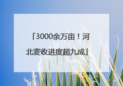 3000余万亩！河北麦收进度超九成